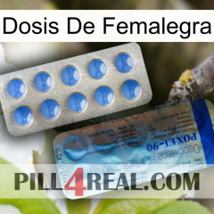 Femalegra Dosage 40